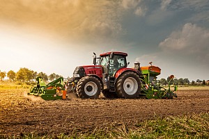 В 2020 году в России увеличится сев сельхозкультур для производства круп